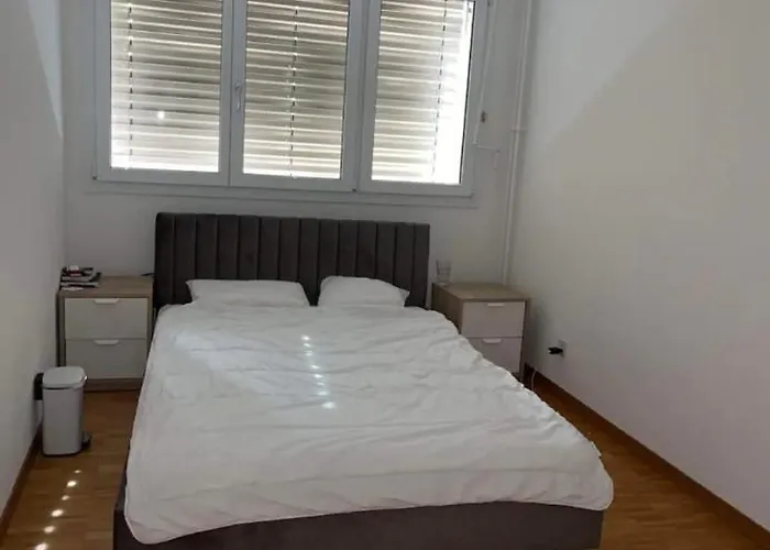 Sherd In Apartment *