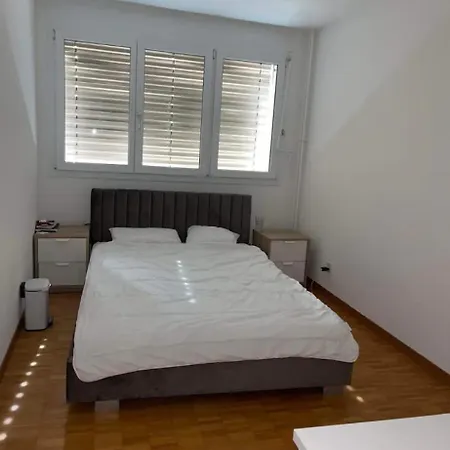 Sherd In Appartement *